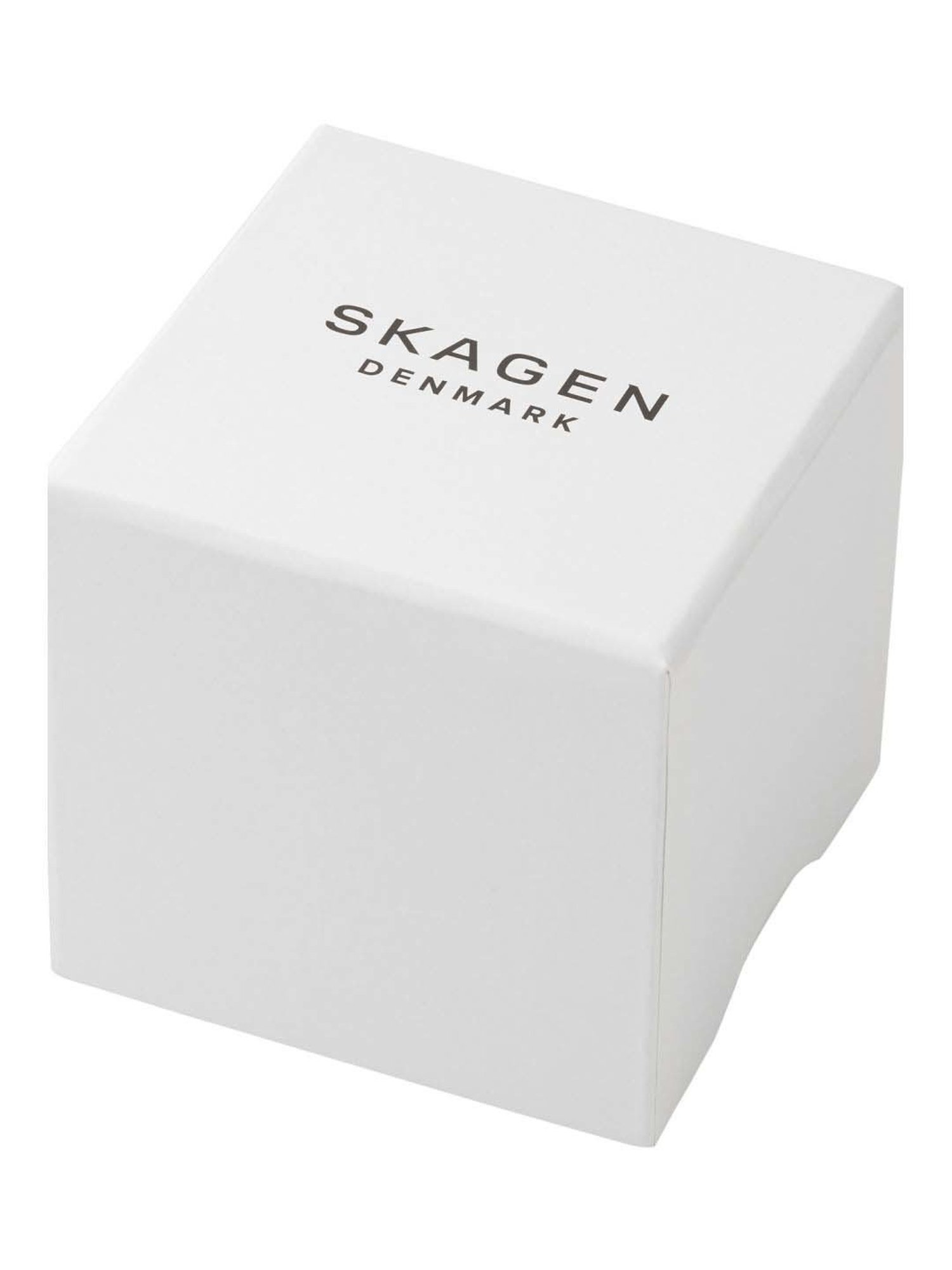 Skagen SKW3097 Analog Watch for Women