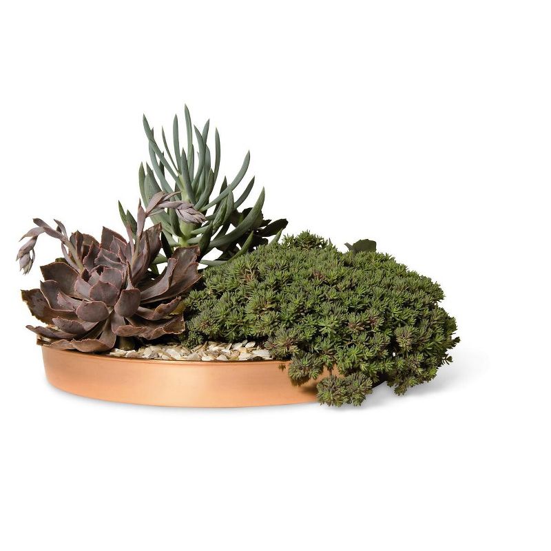 Medium Round Copper Plant Tray, 12 - GARDENER'S SUPPLY CO.