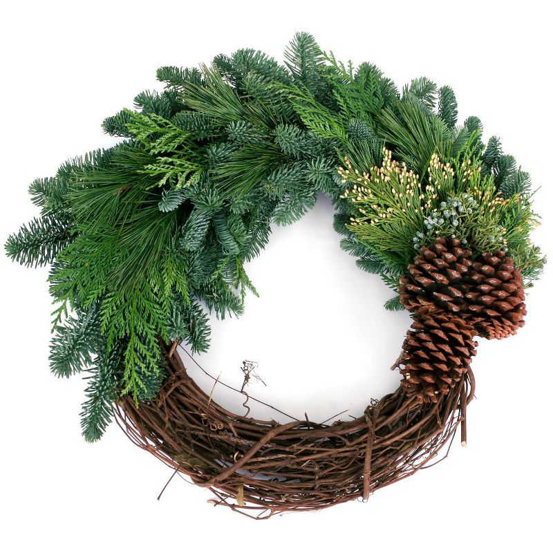 Live Fresh Cut Pacific Northwest Grape Vine and Greens 20" Wreath - Van Zyverden