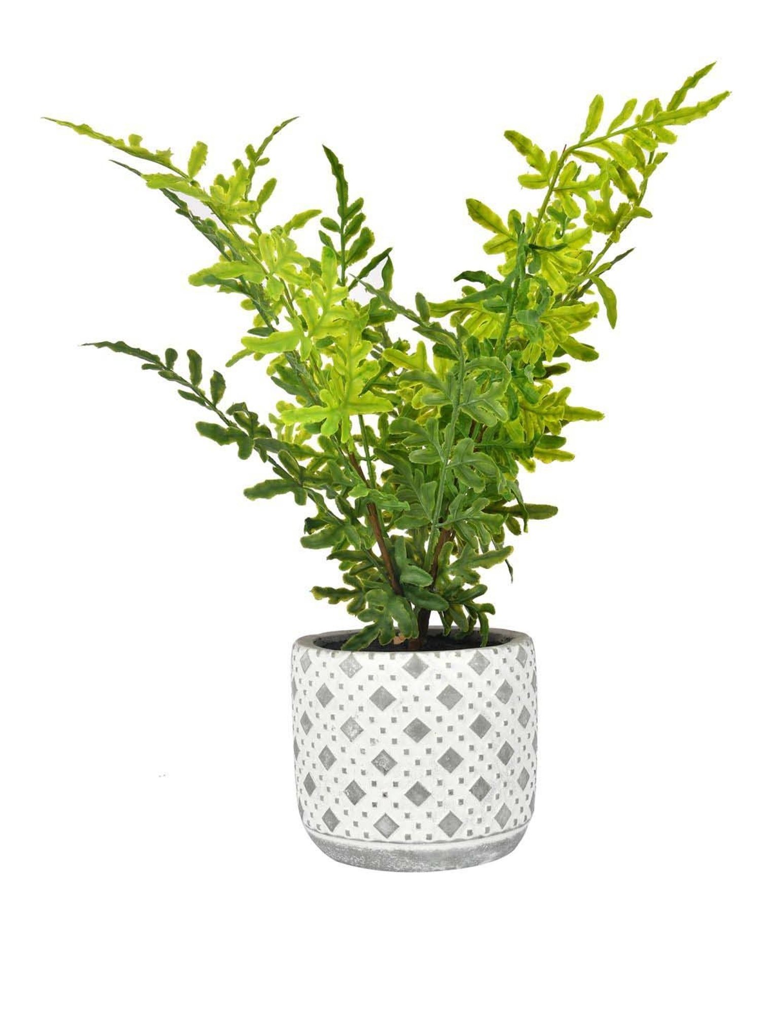 Tayhaa Grey & Green Ceramic Diamon Patterned Pot With Artificial Fern