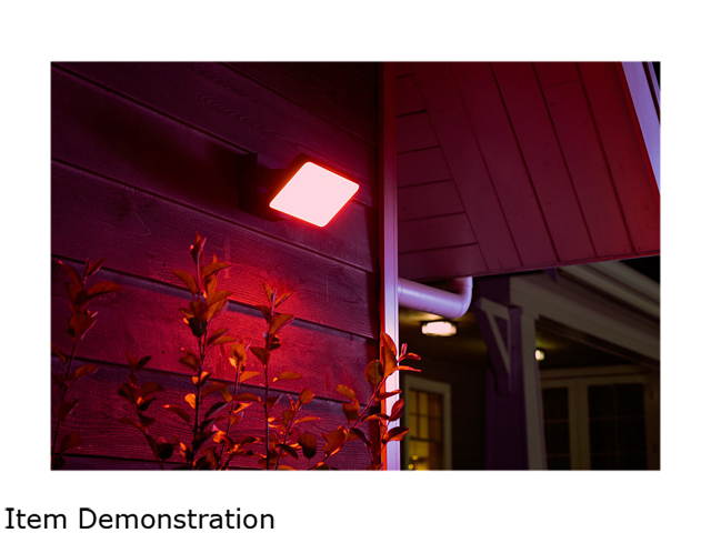 Philips Hue Smart White and Color Ambiance Discover Outdoor Floodlight (Hue Hub Required, Smart Light Works with Alexa, Apple Homekit and Google Assistant)