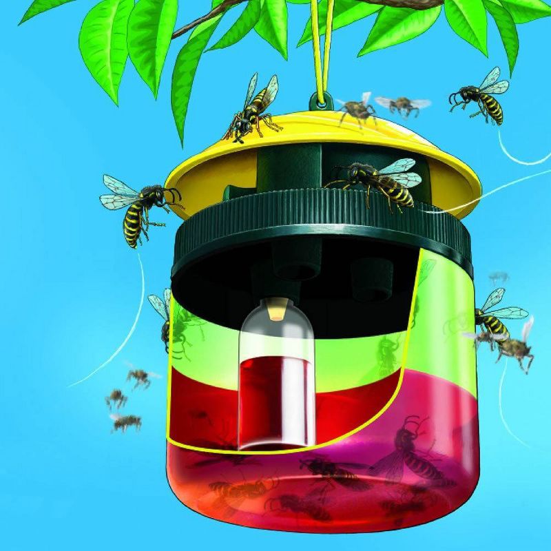 Insect Killer Fly and Wasp Trap - Terro