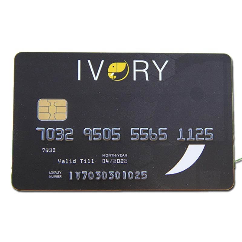 Pack SLE4442 Chip Cards with HiCo Magnetic Stripe PVC SLE 4442