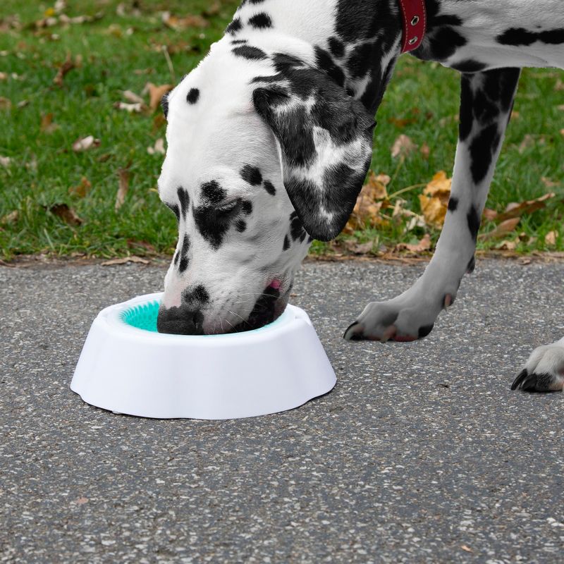 Petmaker Pet Bowl White Turquoise