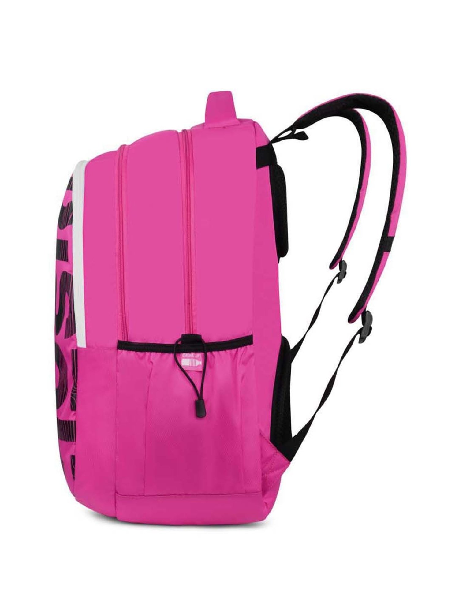 Skybags Stan Pro 01 35 Ltrs Pink Medium Backpack