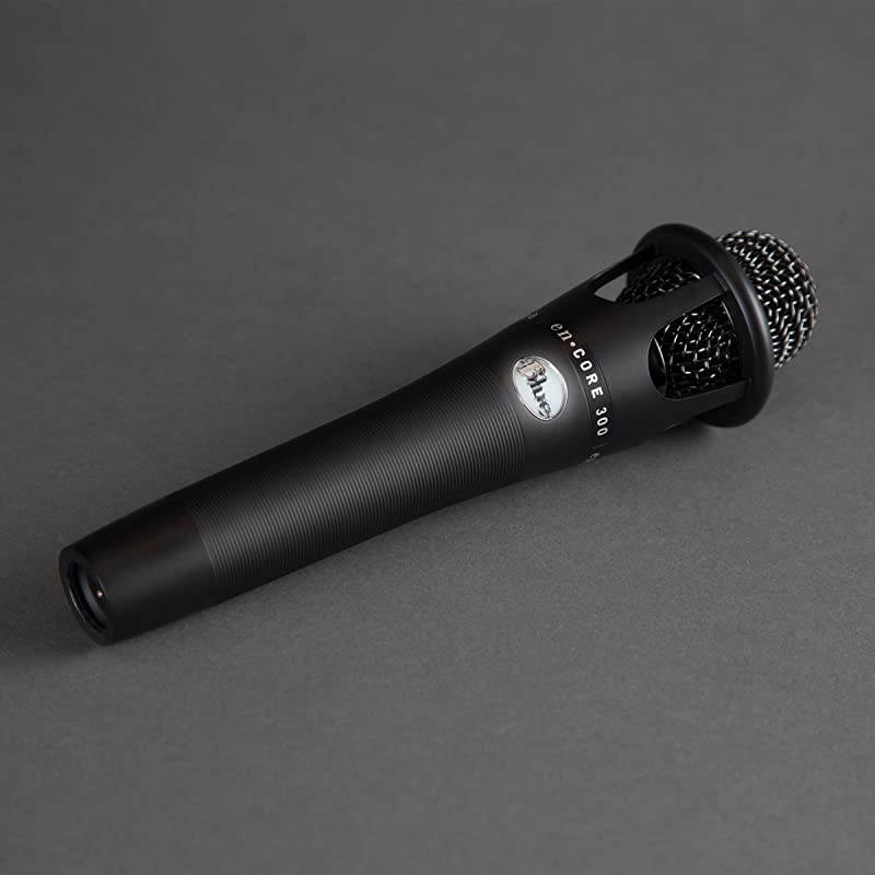Encore 300 Vocal Condenser Microphone