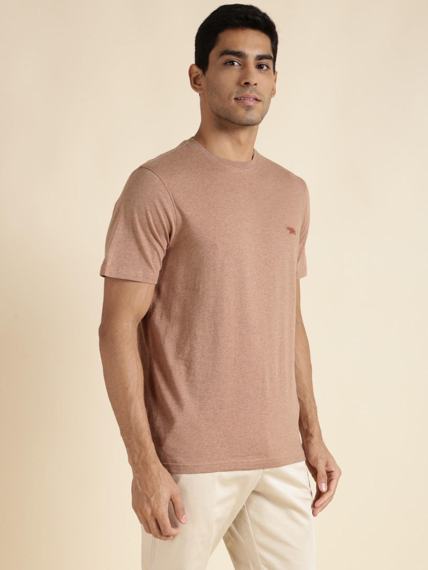 Andamen Khaki Regular Fit T-Shirt