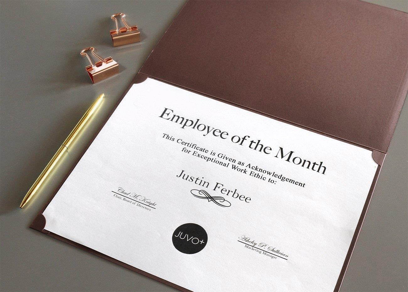 12-Pack Certificate Holder - Diploma Cover, Document Cover for Letter-Sized Award Certificates, Brown, Gold Foil, 11.2 x 8.8 Inches