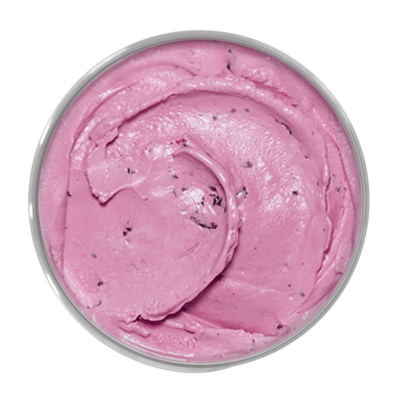 Talenti Black Raspberry Chocolate Chip Gelato - 16oz