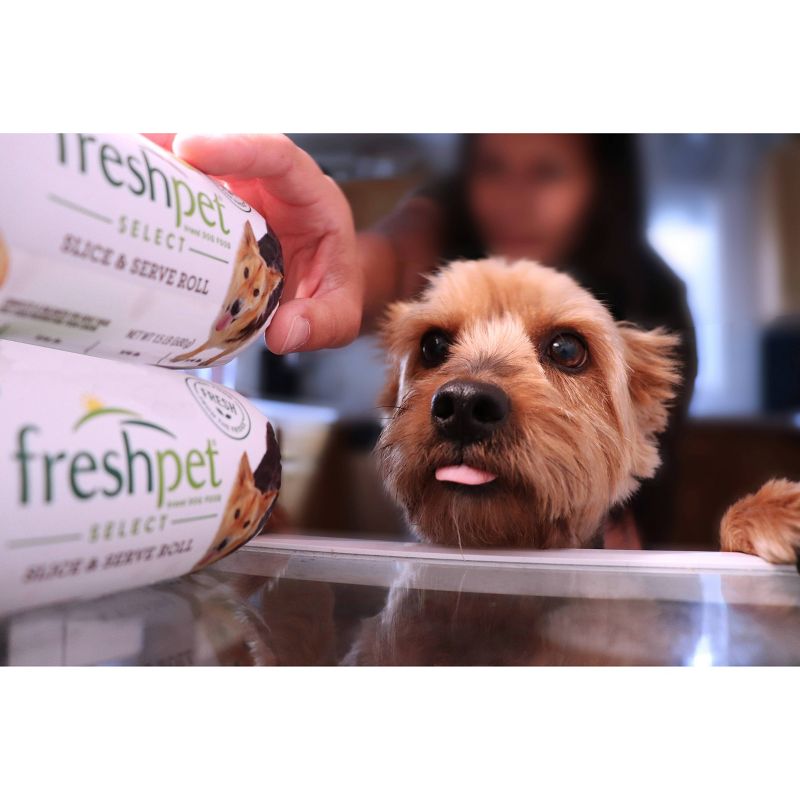 Freshpet Nature's Fresh Roll Grain Free Salmon & Ocean Whitefish Recipe Refrigerated Wet Dog Food - 2lbs