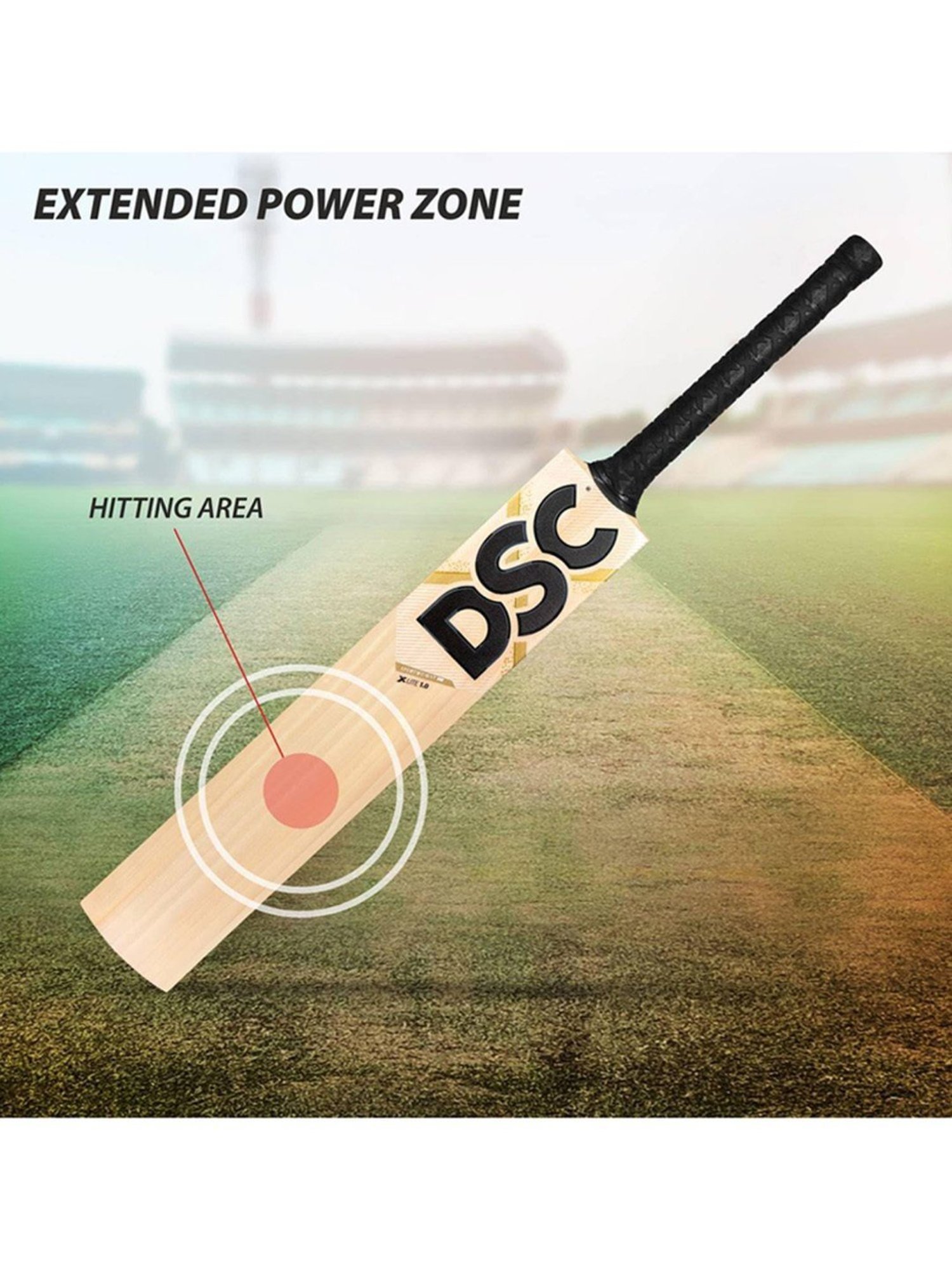 DSC XLITE 1.0 English Willow Cricket Bat Size - Mens