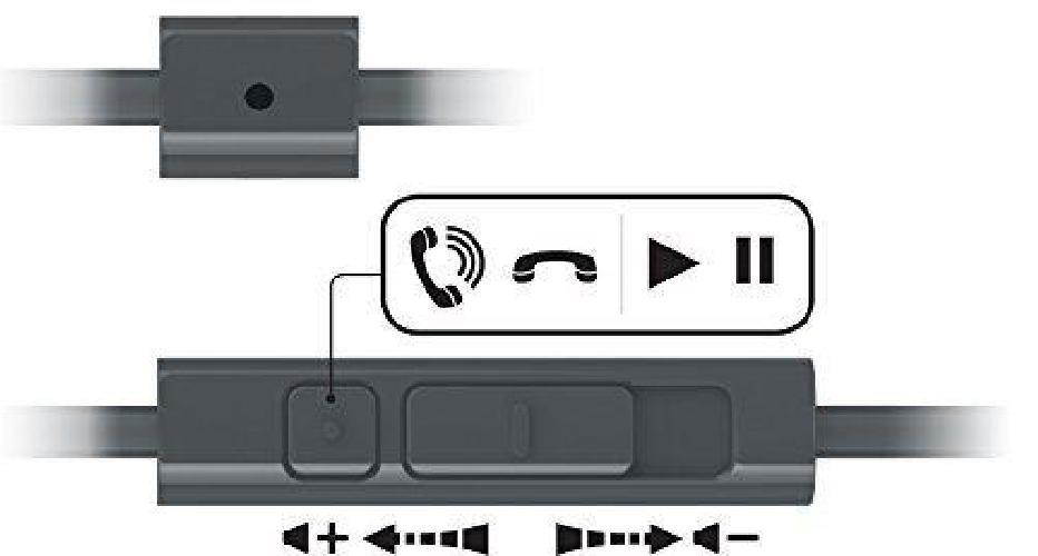 Aurvana Live 2 2.5/3.5mm Jack Black & Chrome Headset