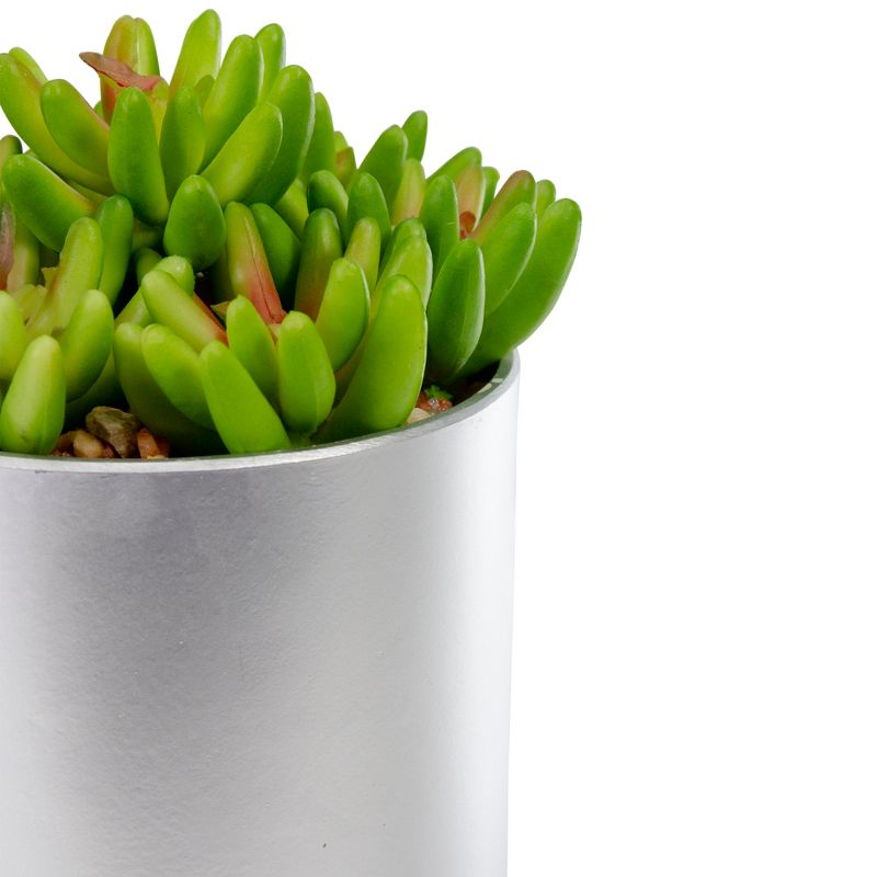 Northlight 4.75" Potted Red and Green Artificial Sedum Succulent