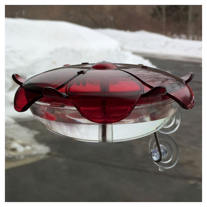 Droll Yankees The Ruby Sipper Window Hummingbird Feeder - Clear
