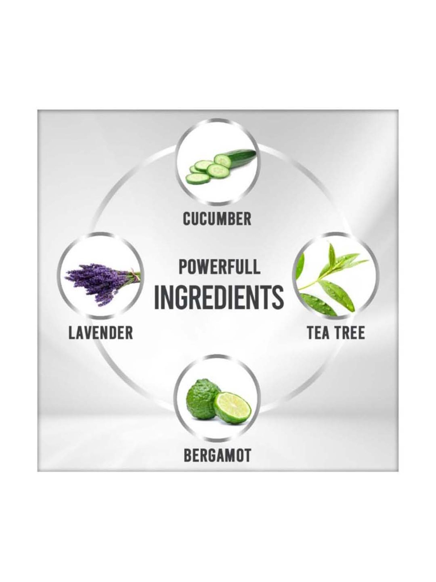 VEDIC LINE Bio White Facial Kit