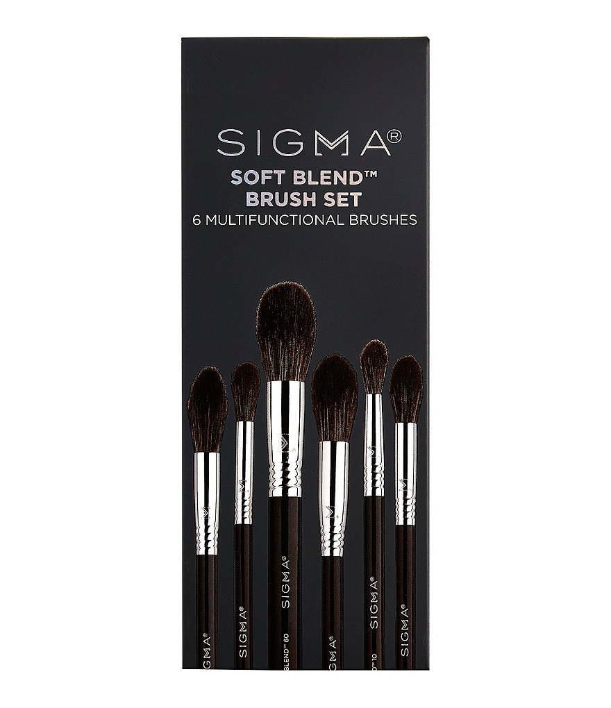 Sigma Beauty Complexion Air Brush Set