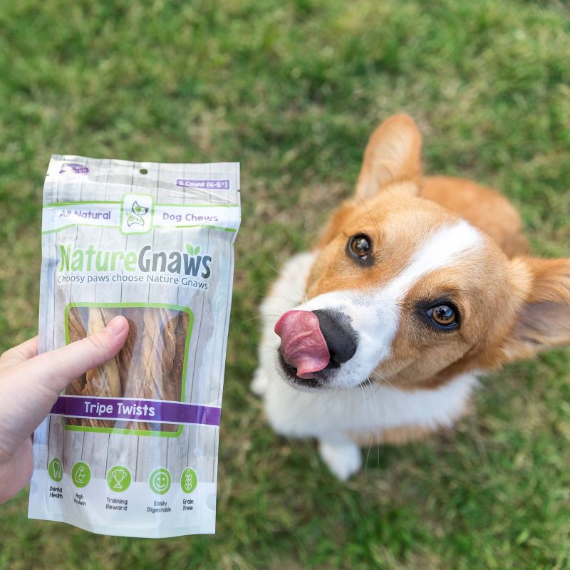 Nature Gnaws Tripe Twists Beef Dog Treats- 10ct