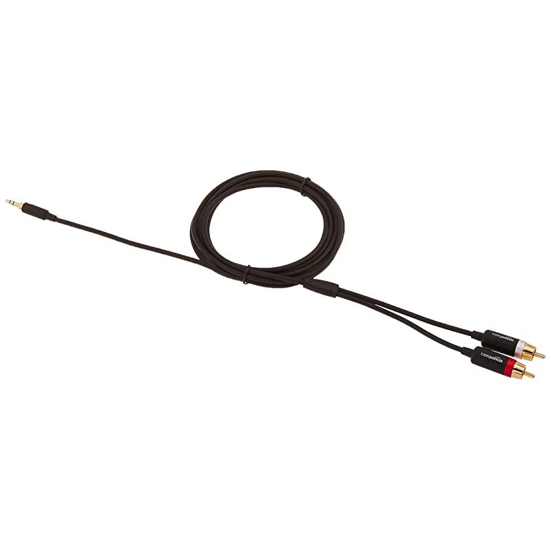 Basics 35mm to 2Male RCA Adapter Audio Stereo Cable 8 Feet