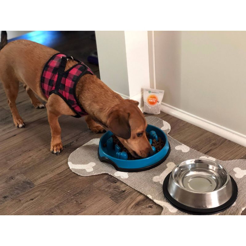 EarthKind Stay Away Ant Repellent - 2.5oz