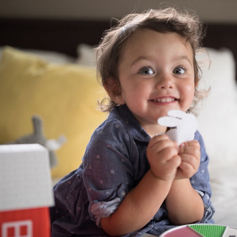 Educational Insights My First Game: Petting Zoo