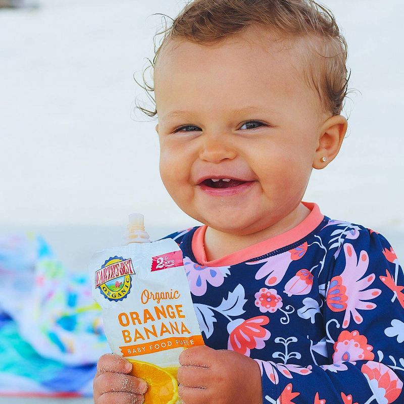 Earth's Best Organic Stage 2 Orange Banana Baby Food - 4oz