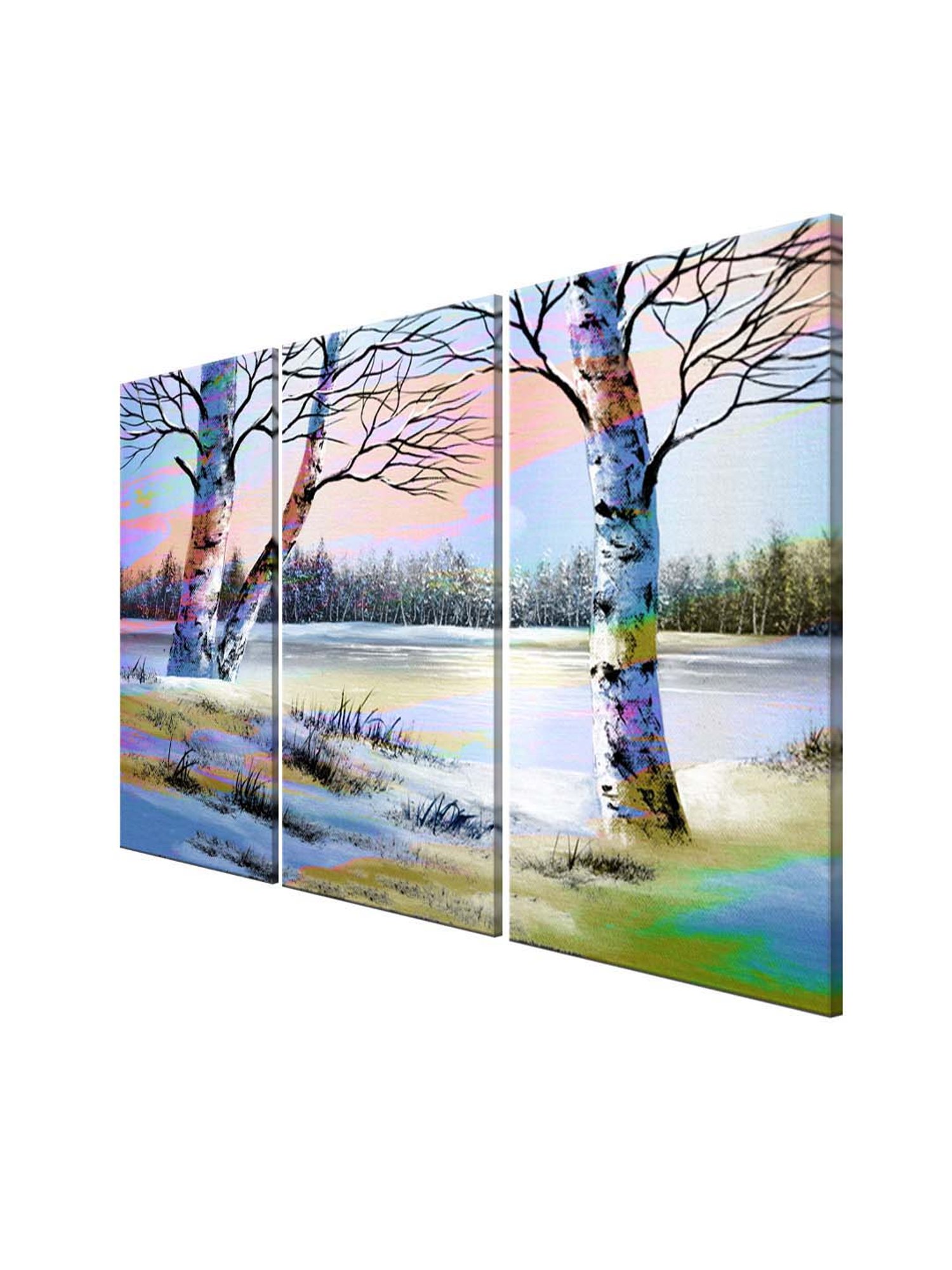 999Store Multicolor Nature Art 3 Frame Canvas Paintings