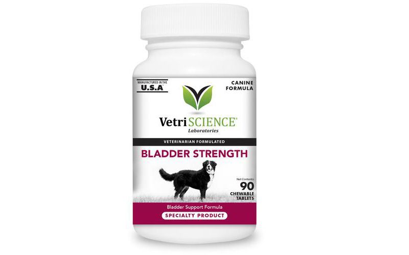 VetriScience Laboratories Bladder Strength Dog Tablets, 90 ct