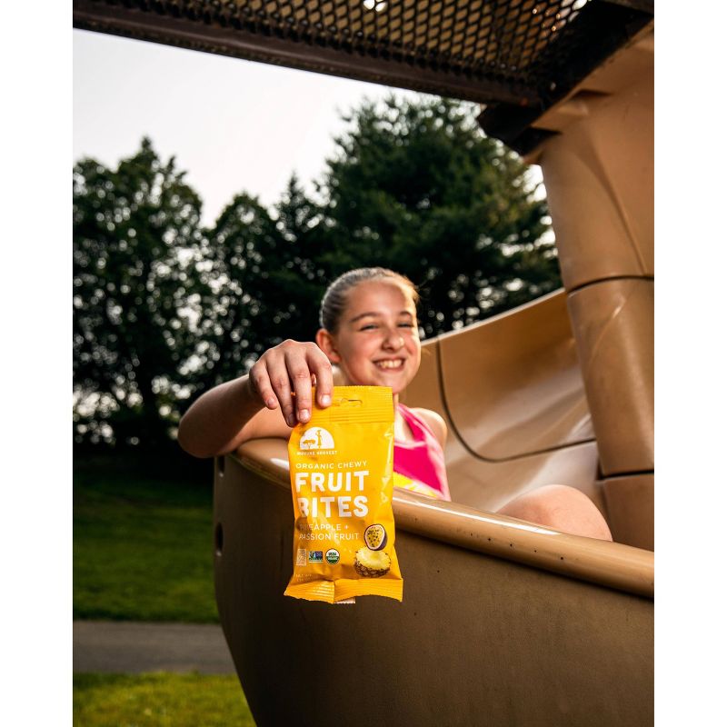 SOL Ripe Plantain Chips - 2.5oz