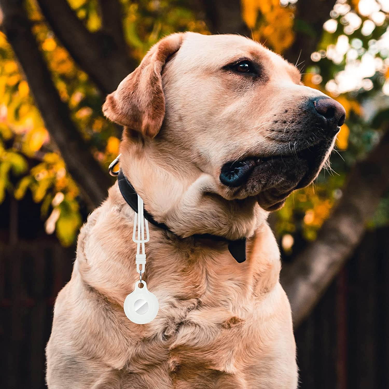 Wenmer Protective Case for AirTags, Silicone Airtag Cases with Keychain Anti-Lost AirTags Cover Lightweight Airtags Holder Compatible with Airtags for Dogs Keys Backpacks, 2 Pack (White & Black)