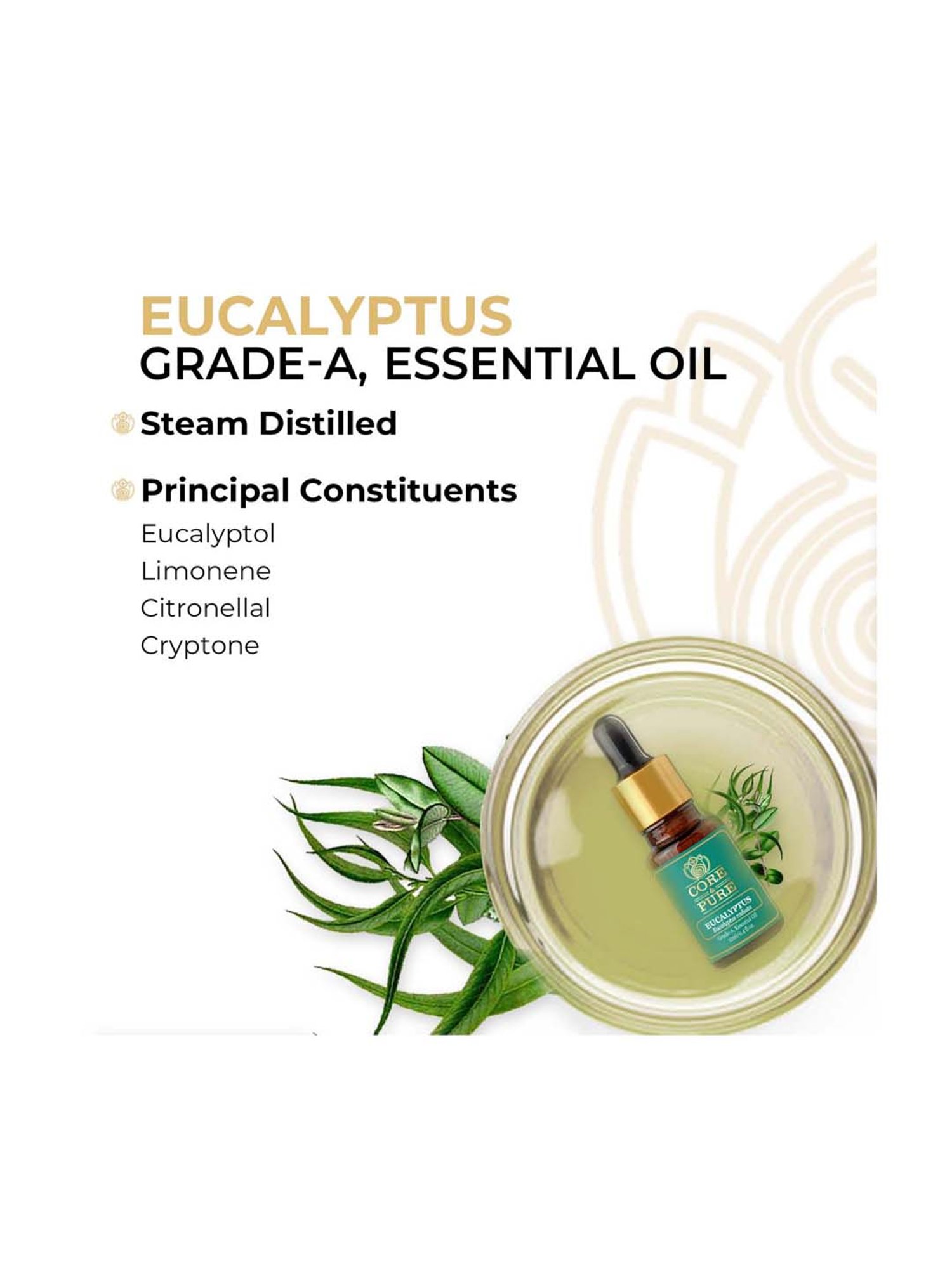 CORE & PURE Eucalyptus Essential Oil - 12 ml