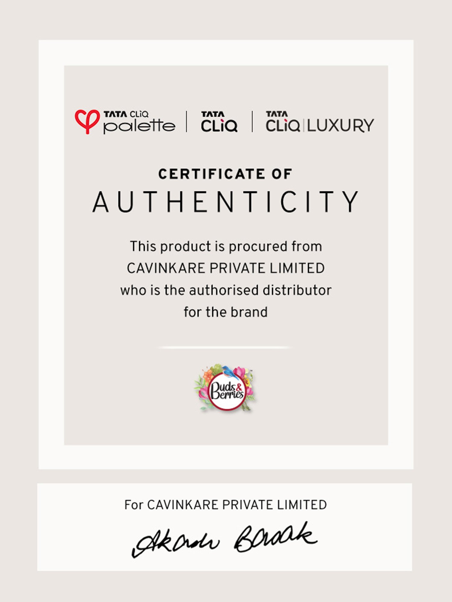 Buds & Berries Red Onion Anti-Hairfall Hair Oil - 100 ml