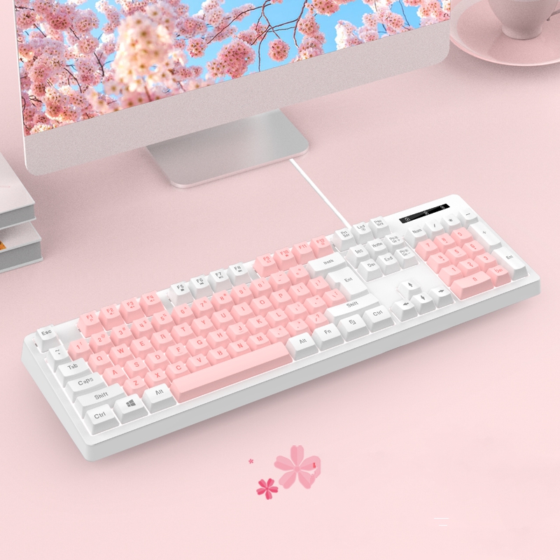 2, 60% Wired/Wireless Mechanical Keyboard (Kailh Box Brown Switch/White Case) - Full Keys Programmable - True RGB Backlit - Tap Arrow Keys - Double Shot PBT Keycaps - NKRO - 1900mAh Battery