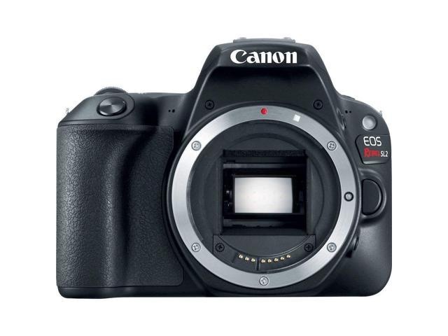 Canon EOS Rebel SL2 DSLR Camera with 18-55mm is STM Lens & 75-300mm III Lens + Professional Case + Flexible Tripod + UV Protection Filter + Card Reader - Intl Model