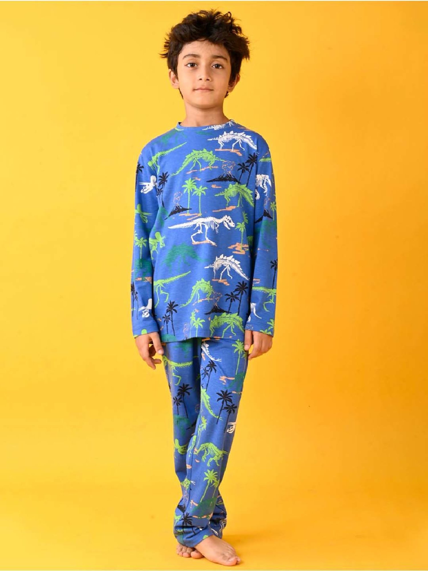 Anthrilo Boys Royal Printed Full Sleeves Night Suits