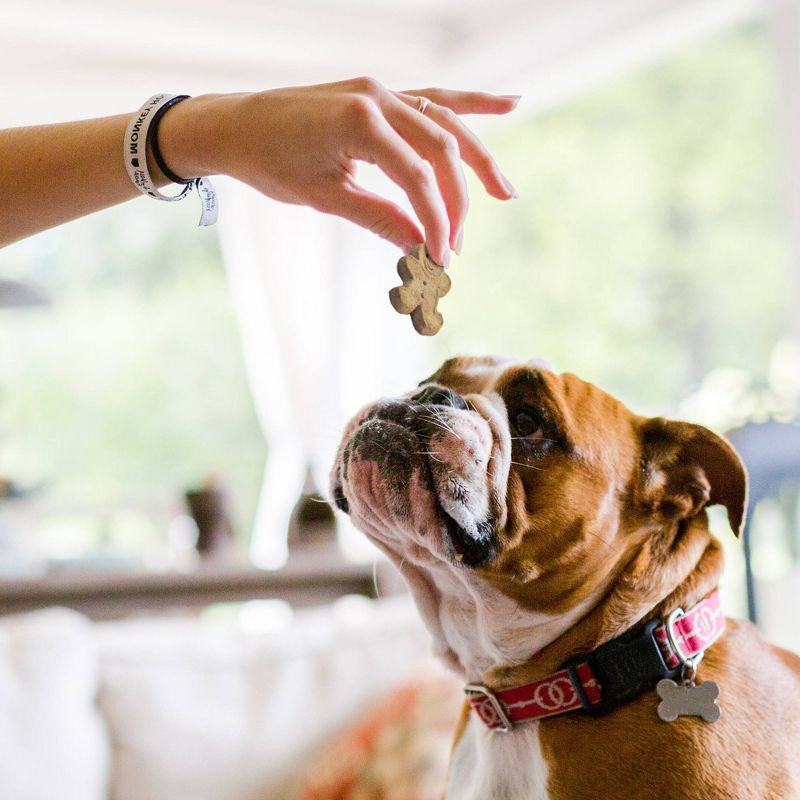 Buddy Biscuits Oven Baked Treats with Roasted Chicken Dry Dog Treats - 3.5lb