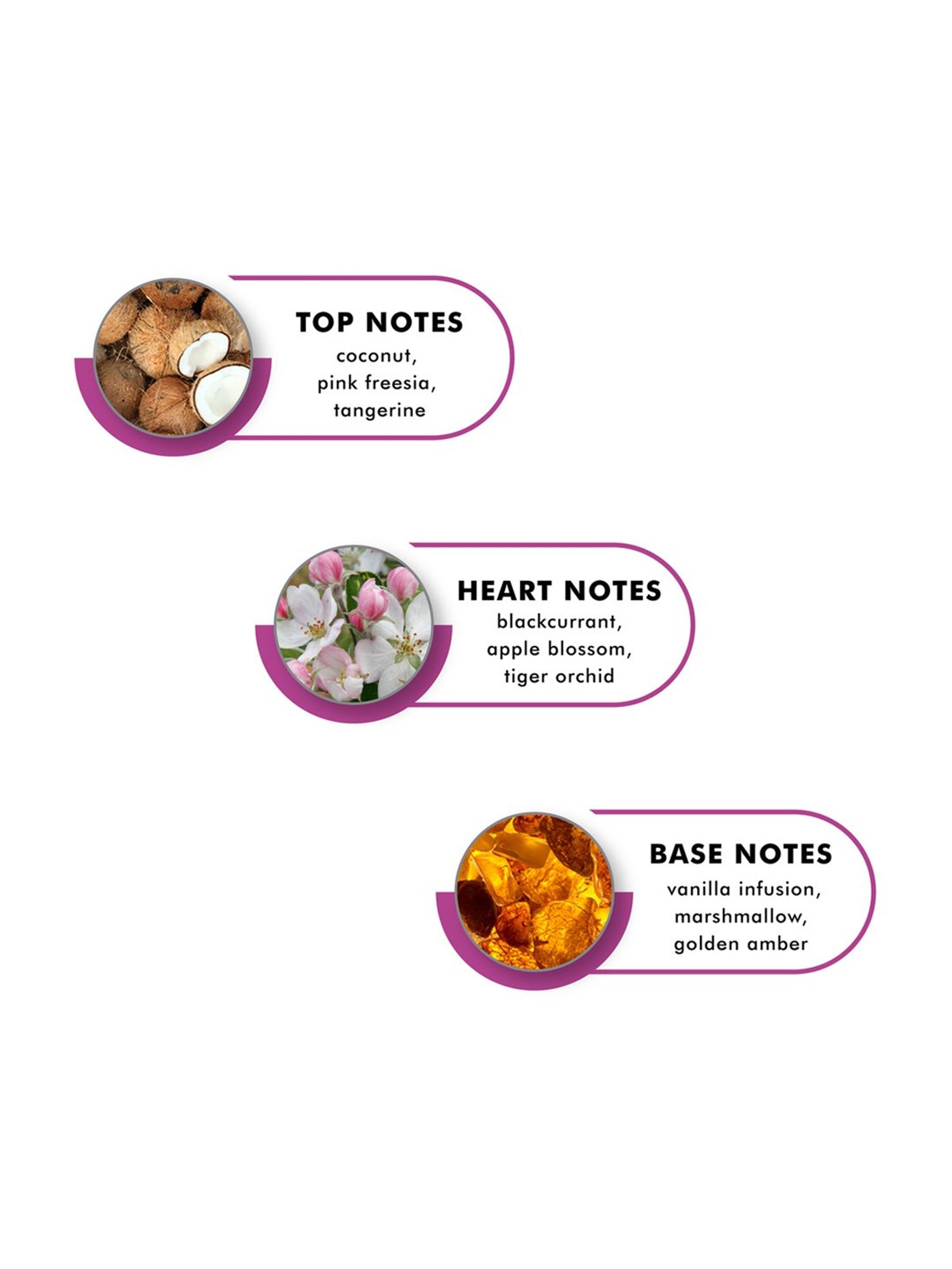 Hollister Festival Nite Eau de Parfum for Her - 100 ml