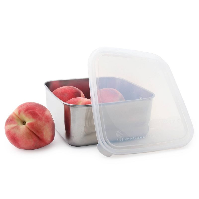 U-Konserve To-Go Stainless Steel Food-Storage Container Square 50oz - Clear  Plastic Lid