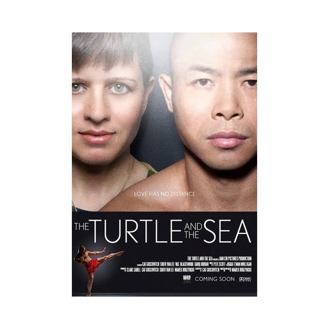 MUSIC VIDEO DIST TURTLE & THE SEA (DVD) D8696D