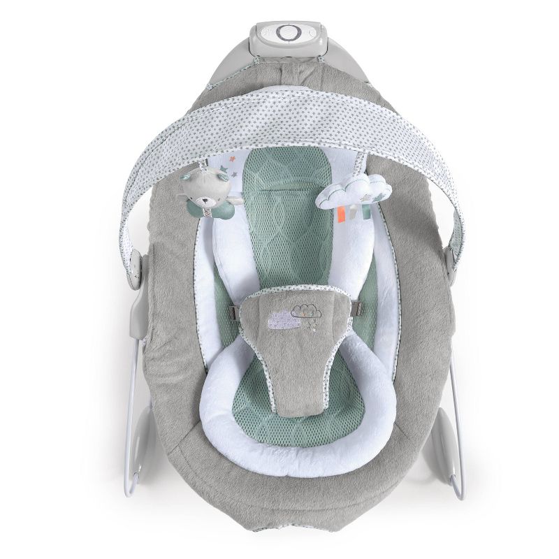 ​Fisher-Price Baby Bouncer