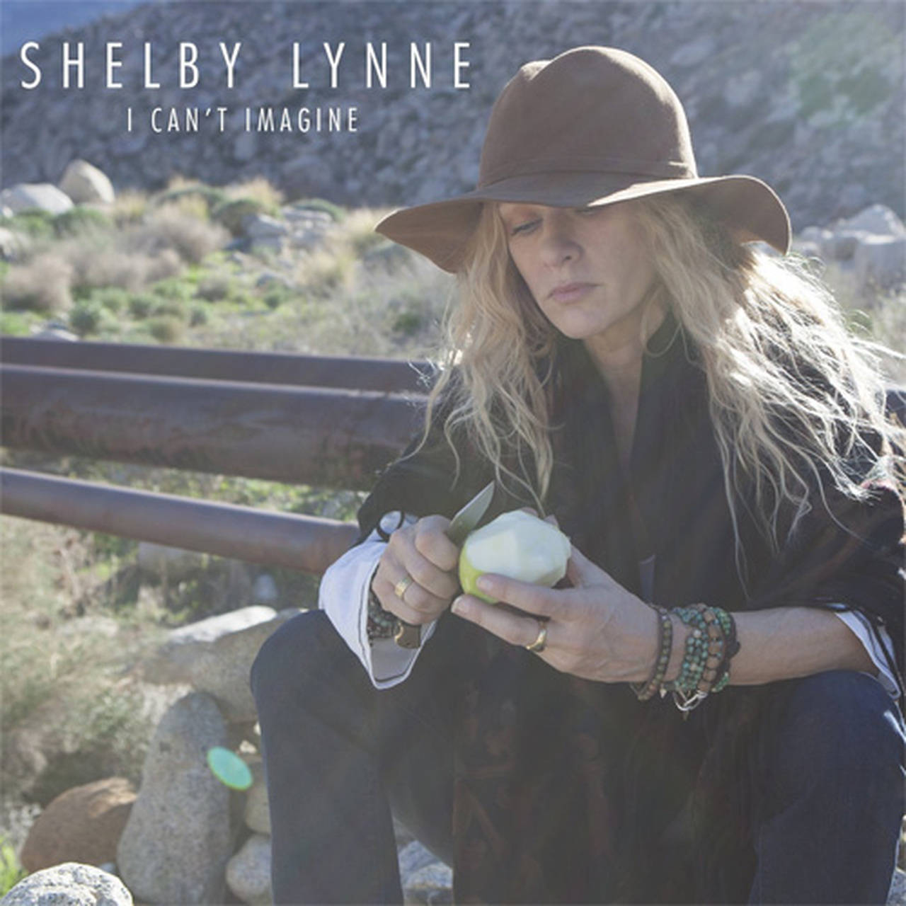 Shelby Lynne I Can't Imagine 180g LP (Vinyl)