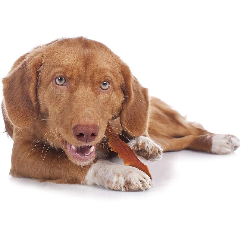 Nudges Protein Biscuit Chicken Dog Treats -16oz