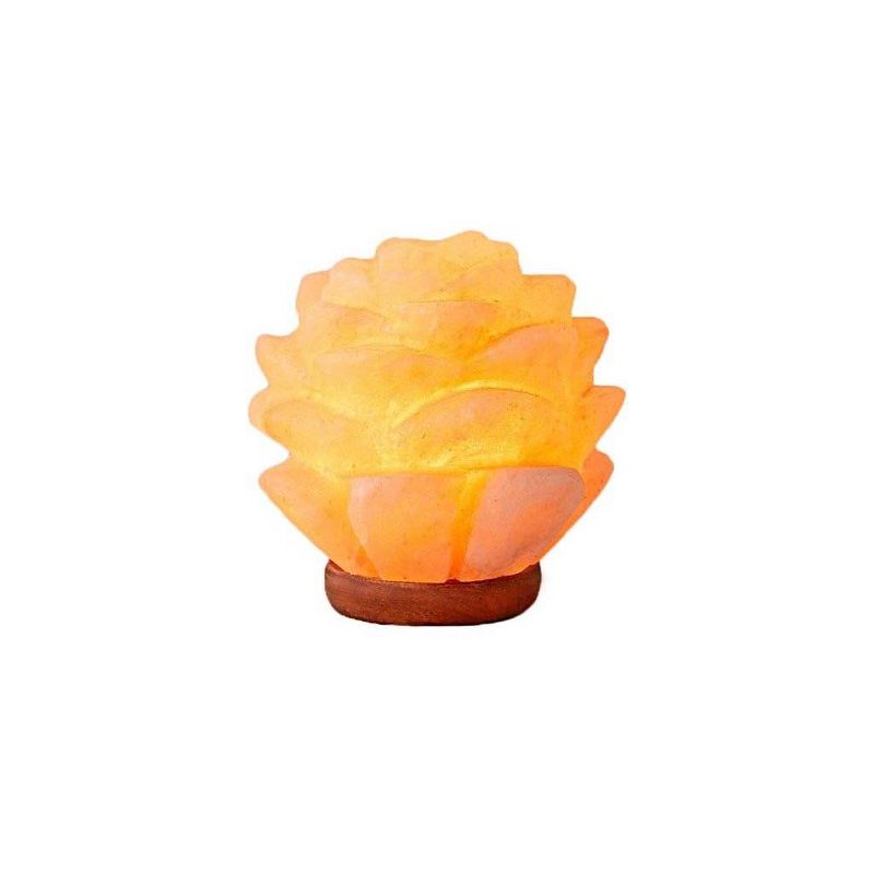 Succulent Himalayan Salt Novelty Table Lamp - Q&A Himalayan Salt