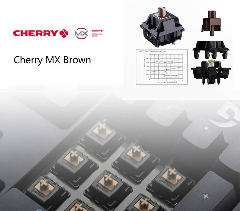 Fuhlen G900S All 104 Non-conflicting Keys, Classic  Exterior Wired  Cherry MX Black Mechanical  Keyboard, 50Million Times Keystrokes Lifespan-White