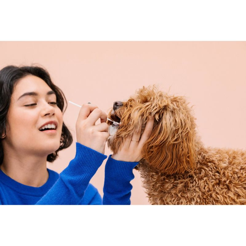 Wisdom Panel Essential for Ancestry Traits Dog DNA Test