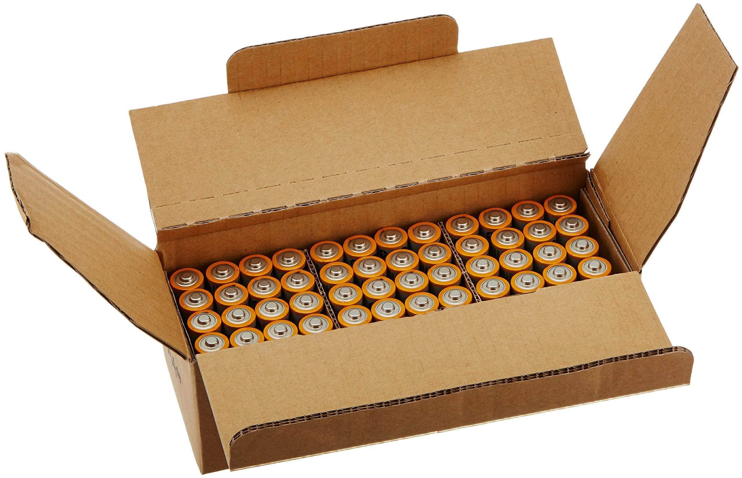 AmazonBasics AA Performance Alkaline Batteries (48-Pack)