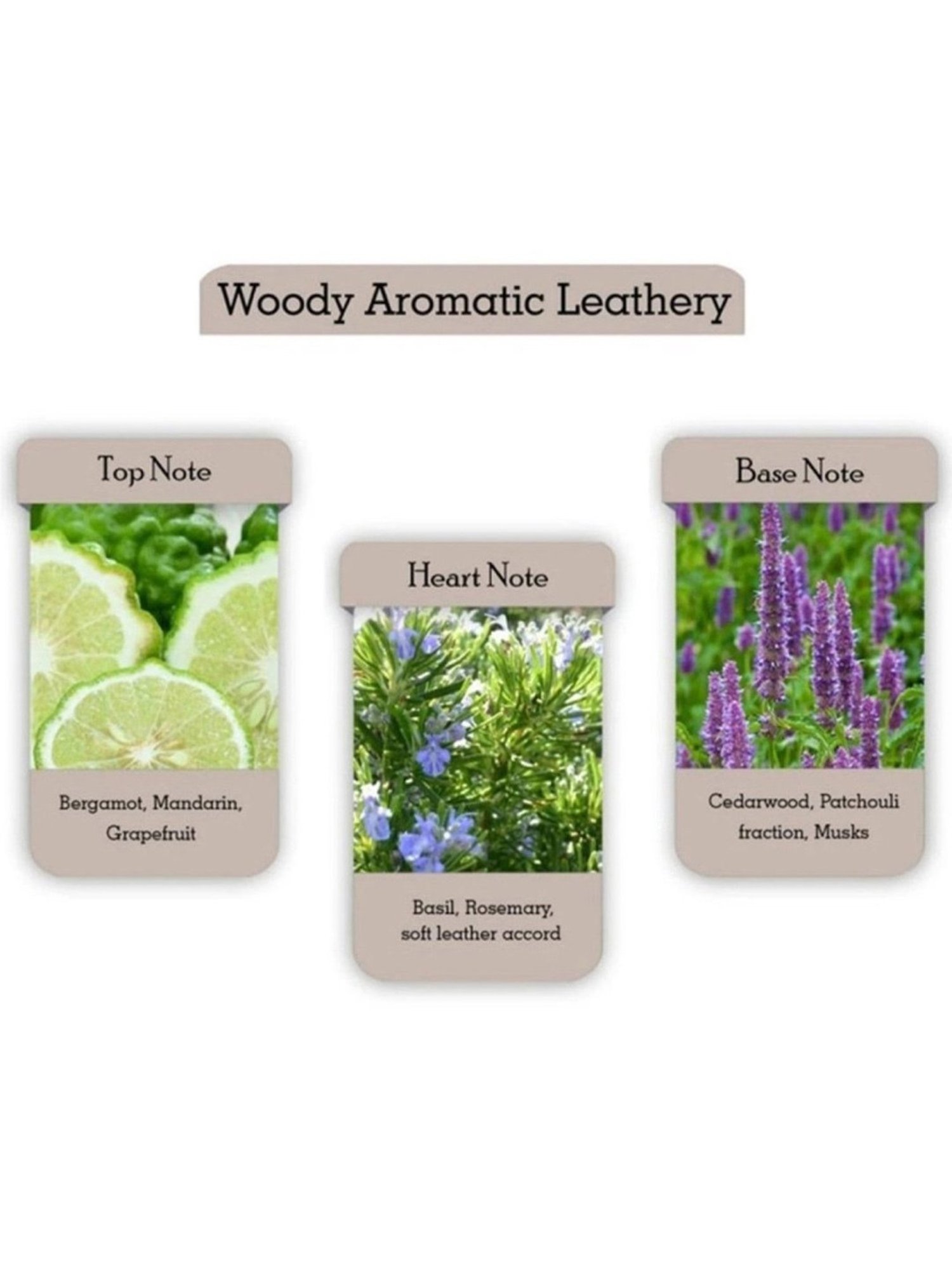 Salvatore Ferragamo Bright Leather Men Eau de Toilette 100 ml