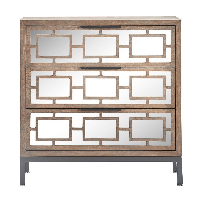 Hayworth 3 Drawer Mirrored Chest Gray - Finch