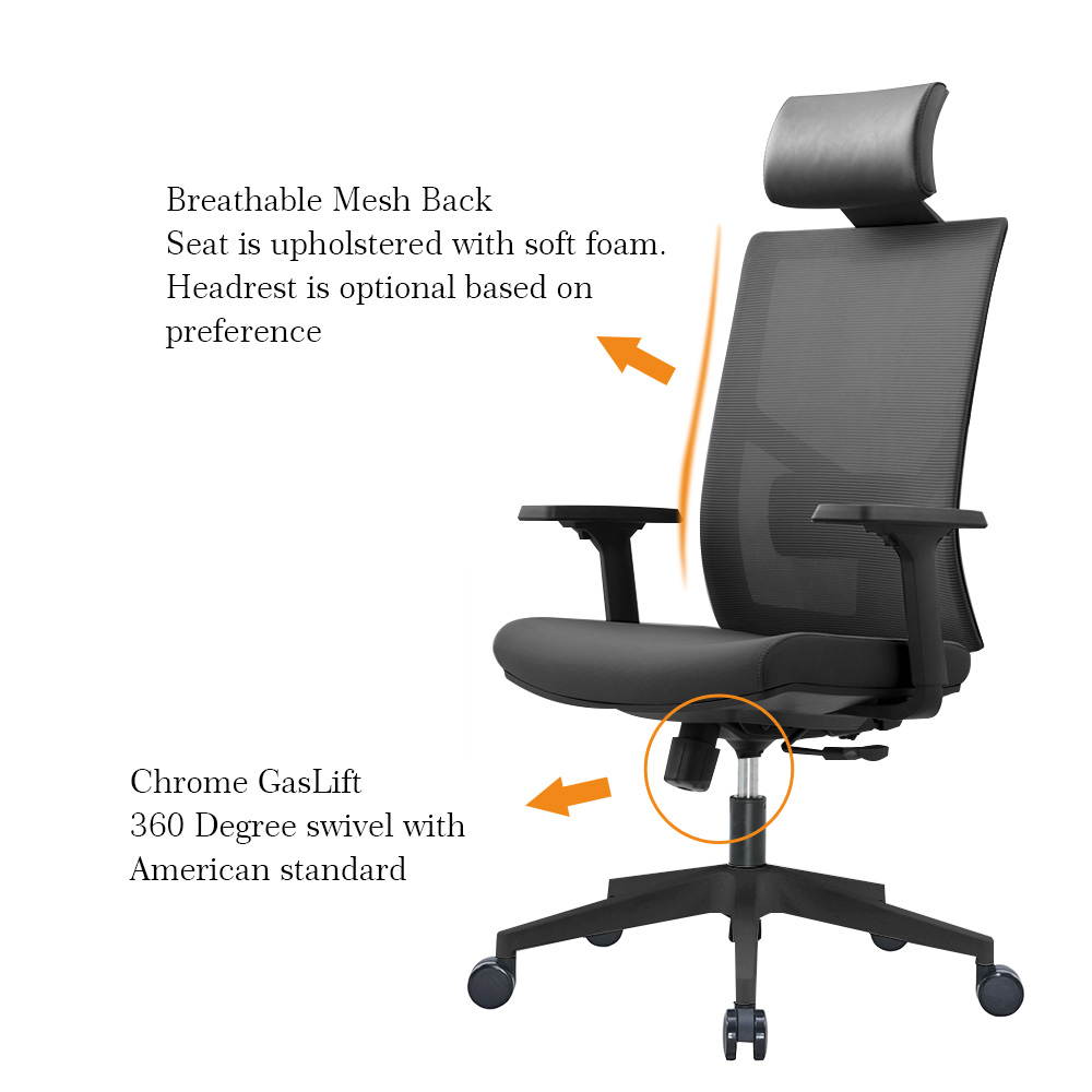 Ergonomic Multi Function Mesh Office Chair with Lumbar Support, Adjustable Armrest (With Headrest, Black and White)