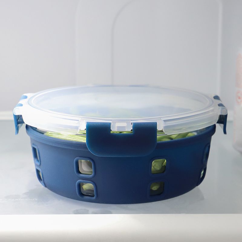 Michael Graves Design Round 32 Ounce High Borosilicate Glass Food Storage Container with Plastic Lid, Indigo
