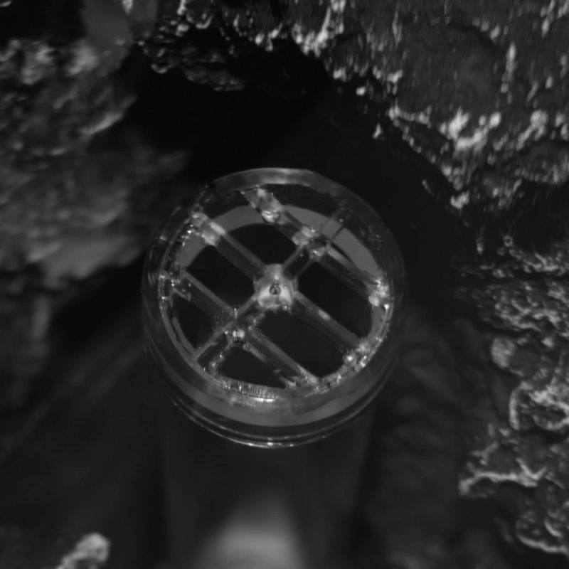 Little Giant Pumps 582507 1325 GPH 1/10 HP Magnetic Drive In Line Aquarium Pump